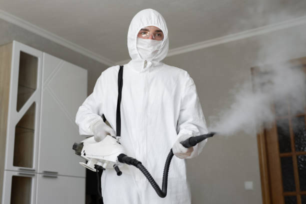 Why You Should Choose Our Mold Remediation Services in Sturtevant, WI