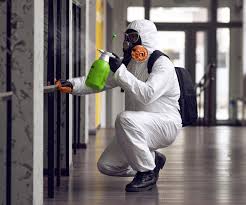 Best Emergency Mold Remediation  in Sturtevant, WI